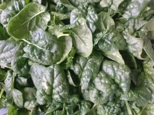 Spinach Greens