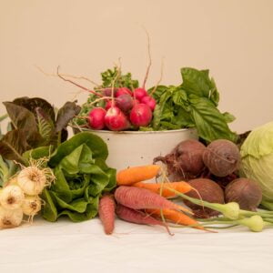 Vegetable CSA