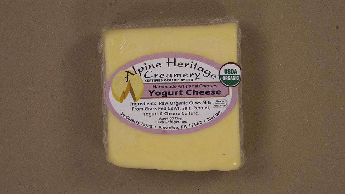 Cheese - Yogurt Cheese